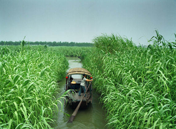 三地省级游学项目齐聚,共推双减助成长2